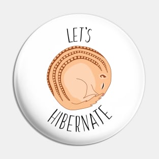 Let's hibernate Pin