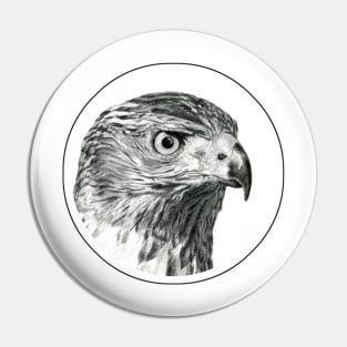 Hawk portrait drawing Pin