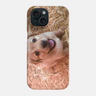 Labrador Puppies / Swiss Artwork Photography Phone Case