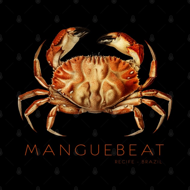 Manguebeat - Recife - Brazil by TambuStore