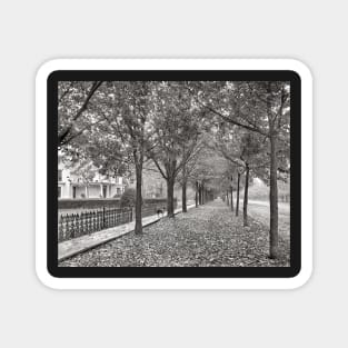 Autumn Street Scene, 1899. Vintage Photo Magnet