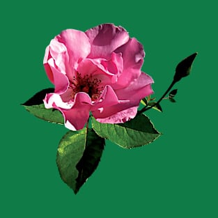 Roses - One Pink Rose with Bud T-Shirt