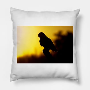 Night Owl - Snowy Owl Pillow