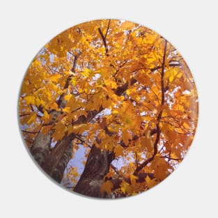 Yellow Autumn Leaves Pin