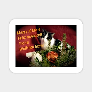 Cat Lilli likes Christmas - Merry XMas! Magnet