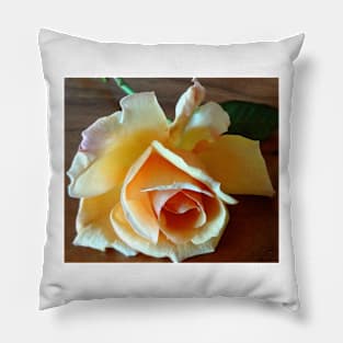 Yellow Rose Pillow