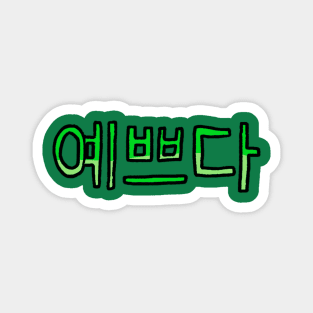 Beautiful in Korean - (Green) Magnet