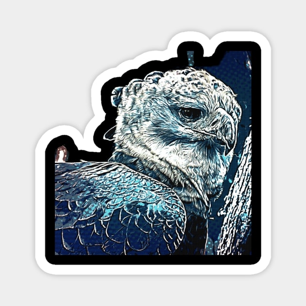 Amazon Harpy Eagle Magnet by SouthAmericaLive