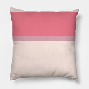 A marvelous compound of Faded Pink, Light Blue Grey, Misty Rose and Light Coral stripes. Pillow