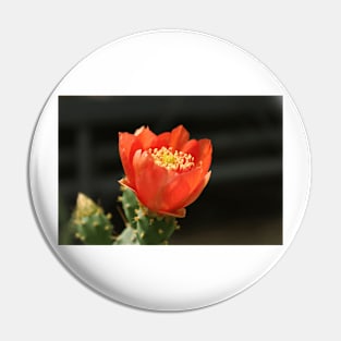 Red flower Pin