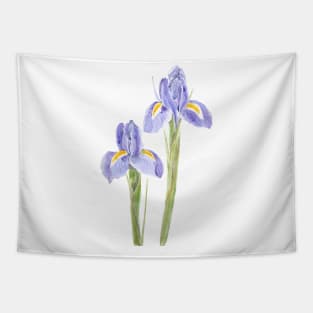 two elegant purple iris watercolor 2021 Tapestry