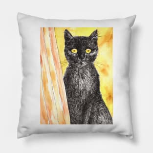 Black cat Pillow