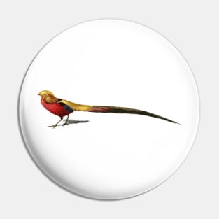 Golden Pheasant Digital Painting Pin