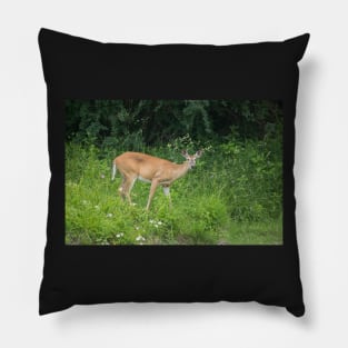 Oh Deer Pillow