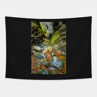 Canyon in mountains Tapestry