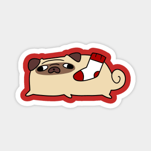 Sock Pug Magnet