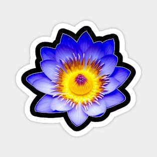 Lotus Flower Graphic Art Print Magnet