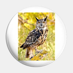 Eurasian Eagle Owl Pin