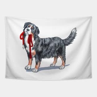 Bernese Mountain Dog with Leash. Tapestry