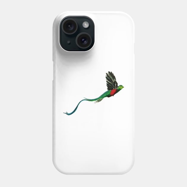 Costa Rica Quetzal Watercolor Phone Case by julyperson