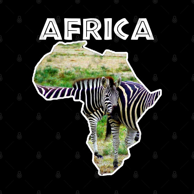 African Wildlife Continent Zebra Stripes by PathblazerStudios
