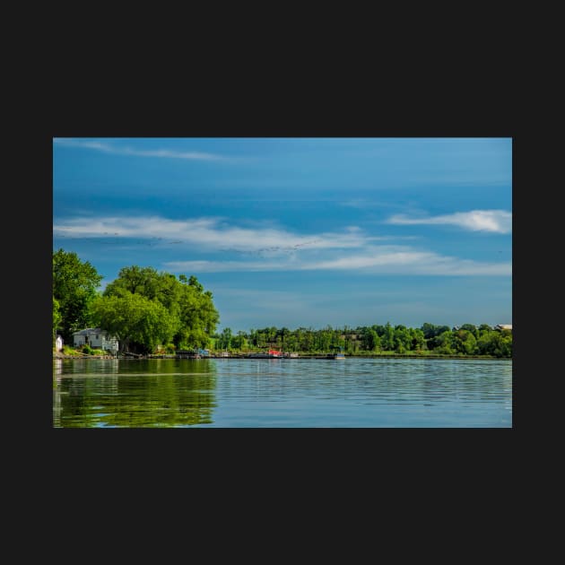 View of Rice lake and flying geese in formation by Carlosr1946