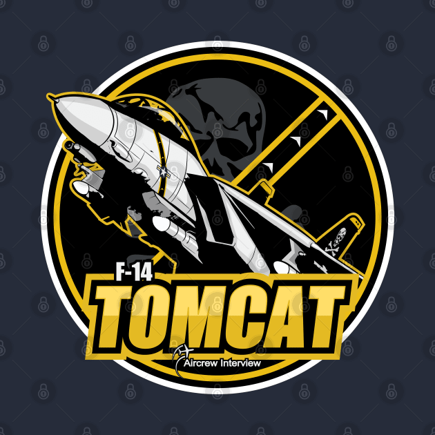 F-14 Tomcat by Aircrew Interview