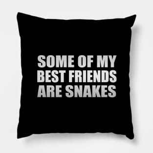 Some Of My Best Friends Are Snakes Funny Quote Pillow