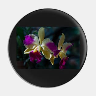 Orchids #2 Pin