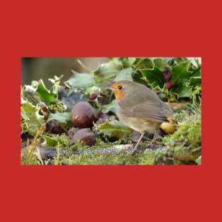 robin with holly T-Shirt