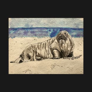 Walrus on the Beach T-Shirt