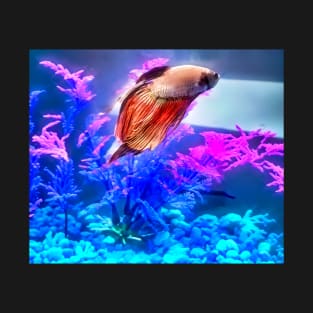 Beautiful Beta Fish T-Shirt