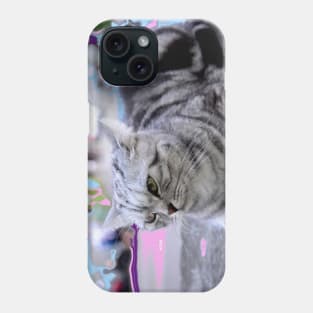 Sphinx Katze /  Swiss Artwork Photography Phone Case