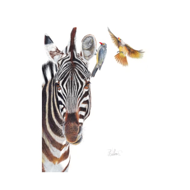 Horse Whisperer - zebra coloured pencil drawing by Mightyfineart