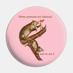 These Possums Are Bisexual and So Am I Pin
