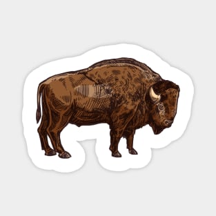 American Bison Distressed Buffalo Funny American Bison Magnet