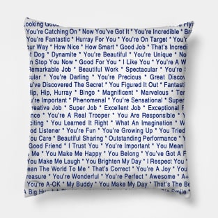 101 Ways to Praise Your Child Pillow