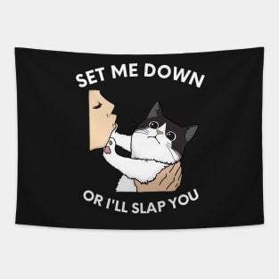 Set Me Down Or I'll Slap You Black and White Cat, Chonk Slap Funny Design Tapestry