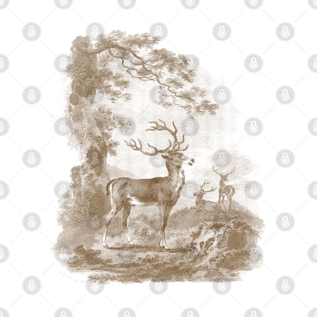 Deer In the Forest Vintage Illustration - Sepia by Biophilia