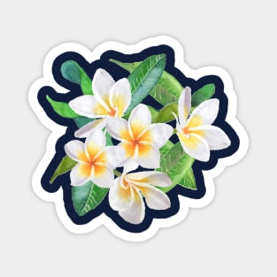 Tropical Frangipani - Navy Magnet