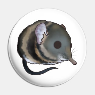 Elephant Shrew Pin