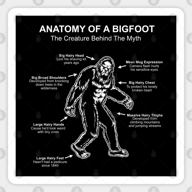 Funny Anatomy of Bigfoot - Bigfoot - Magnet | TeePublic Funny Anatomy of Bigfoot - Bigfoot - Magnet | TeePublic