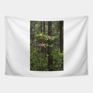 Rhododendron Blooming in Forest - Manning Park Tapestry