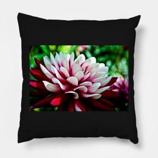 Dahlia Flower Pillow