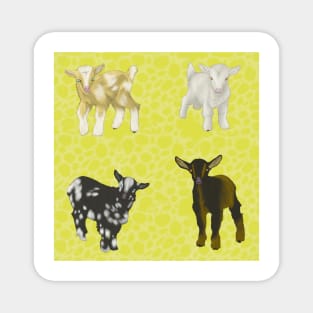 Baby Goats Pattern Yellow Magnet