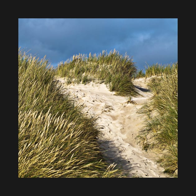 SAND DUNE of Denmark by SILVA_CAPITANA