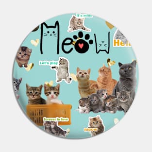 Meow Cats and Kittens Pin