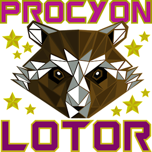 Procyon Lotor - Guardian Raccoon Magnet