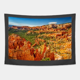 Bryce Canyon National Park Tapestry