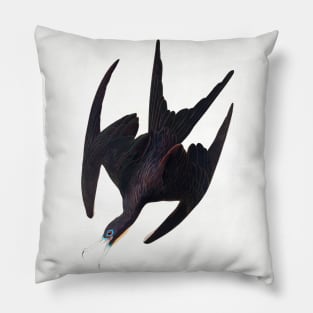 Frigate Pelican from Birds of America (1827) Pillow